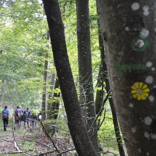 izdelek-brez-naslova-1