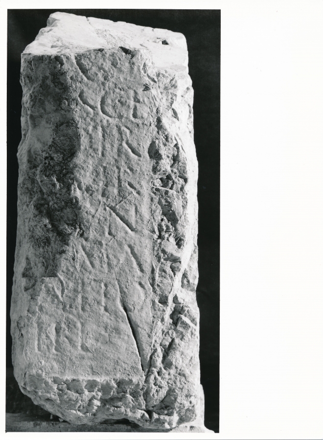 heraklej-s-kerberjem-1